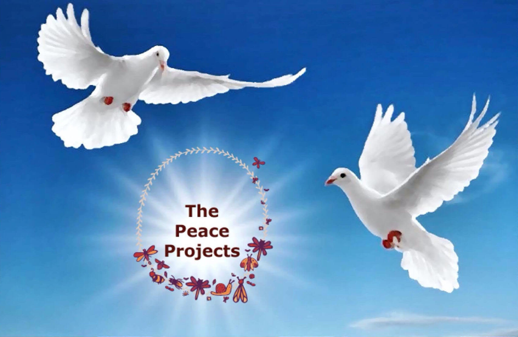 thepeaceprojects