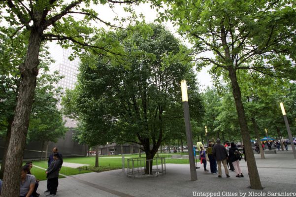 The Survivor Tree and the Glade at Ground Zero 